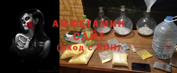 PSILOCYBIN Белокуриха