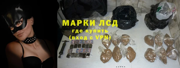 PSILOCYBIN Белокуриха