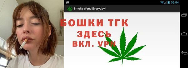 PSILOCYBIN Белокуриха
