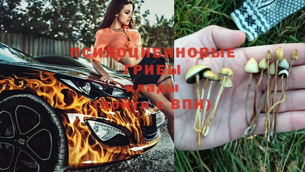 соль ск Белоозёрский