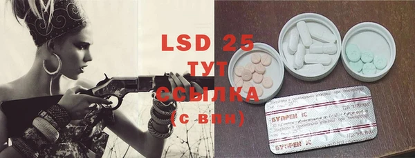 PSILOCYBIN Белокуриха